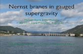 M. Haack - Nernst Branes in Gauged Supergravity