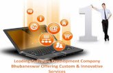 Leading software development company bhubaneswar offering custom & innovative services