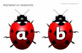Abc kumbang