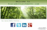Go With Avacade Investment And Grow Your Business