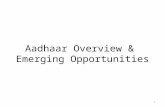 Aadhaar (Identity) Innovation ideas