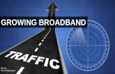 Economics of Growing Broadband Demand in Georgia