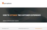 iPerceptions webinar - How to Optimize the Customer Experience