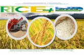 14th july (tuesday), 2015 daily exclusive oryza rice e newsletter by riceplus magazine