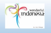 Wonderful indonesia