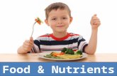 Food And Nutrients