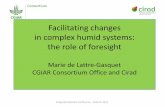 Facilitating Changes in Complex Humid Systems: the Role of Foresight by Marie de Lattre-Gasquet