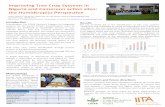 Improving tree crop systems in Nigeria and Cameroon action sites:  the Humidtropics perspective