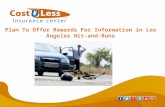 Plans To Offer Rewards For Information In Los Angeles Hit-and-Runs
