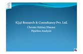IQ4I Research & Consultancy published a new report on “Chronic Kidney Disease (CKD)- Pipeline Analysis”