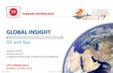 Global Development & Trends in Turkey & its Neighbours & the Rest of the Oil and Gas Producing World