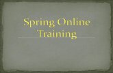 Spring online training