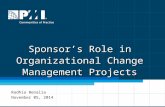 Overview of Role of Sponsor in Change