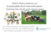 FAO’s Policy Advice on Sustainable Rice Intensification: Closing the yield and nature gaps - Mr. Johannes W. Ketelaar