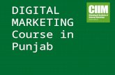 Digital marketing Course in Punjab