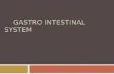 Gastro intestinal system anatomy
