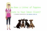 How Does a Litter of Puppies Relate to Your Ideal Client?