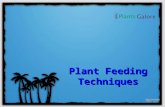 Plant Feeding Techniques