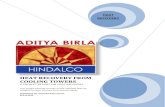 project final hindalco