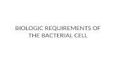 Biologic requirements of the bacterial cell