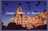 Mexico TESOL Faculty Led Trip