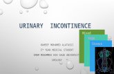 Urinary  Incontinence
