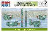 Submersible & Monoblock Pumps