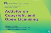 Activity on Copyright and Open Licensing