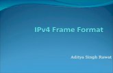 IPV4 Frame Format