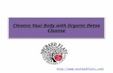 Cleanse Your Body with Organic Detox Cleanse