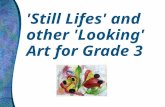 Still life and other looking art