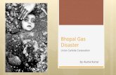 Bhopal case