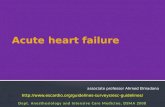 Acute heart and vascular failure