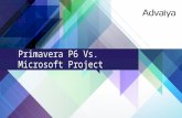 Primavera vs Microsoft Project Professional