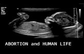Abortion and Human Life