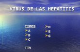 29 hepatitis a,b,d