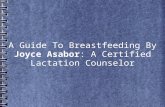 A Guide To Breastfeeding By Joyce Asabor: A Certified Lactation Counselor