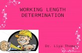 Working length determination