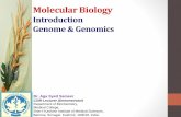 Molecular biology introduction mb 01