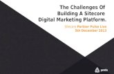 The Challenges Of Building A Sitecore Digital Marketing Platform
