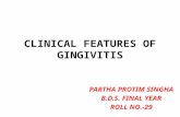 clinical features of gingivitis