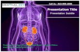 Urology Diseases PowerPoint Template Slides