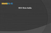 Seo firm india