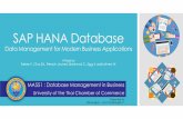 SAP HANA Database