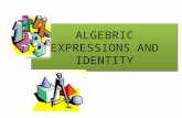 Algebric expressions and identity