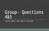 Group  questions 45