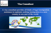 Best Visa Consultant Services