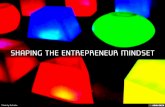 shaping the entrepreneur mindset