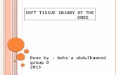Soft tissue injury of the knee