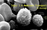 DP Bio Topic 1-4 Membrane Transport